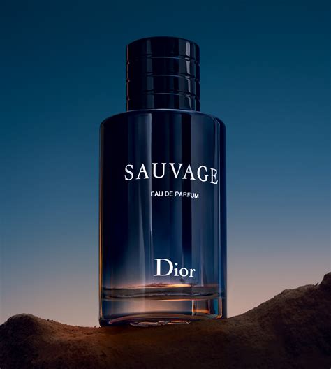 dior cologne parfum|best Dior colognes for men.